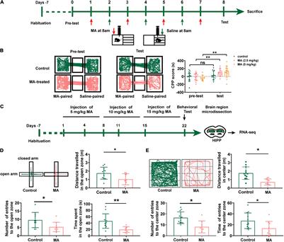 Quercetin Mitigates Methamphetamine-Induced Anxiety-Like Behavior Through Ameliorating Mitochondrial Dysfunction and Neuroinflammation